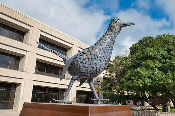 Roadrunner statue on campus